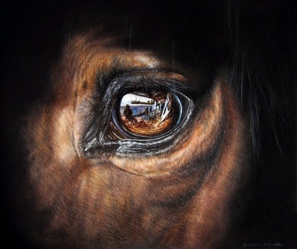 Глаза лошади маслом