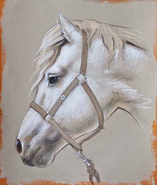 Лошадиный глаз рисунок