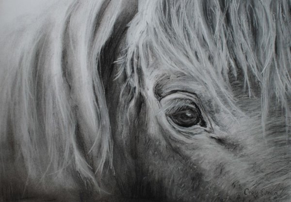 Лошадиный глаз арт