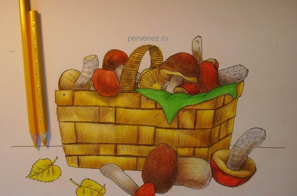 Корзинка с овощами