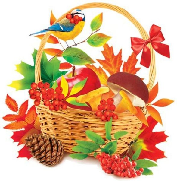 Корзинка с грибами раскраска