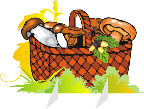 Корзинка с фруктами и осенними листьями