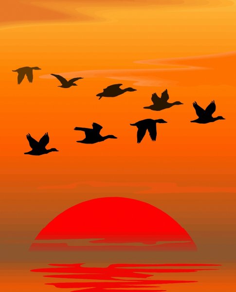 Птицы улетают
