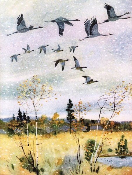 Улетают Журавли и. с. Соколов—Микитов иллюстрации