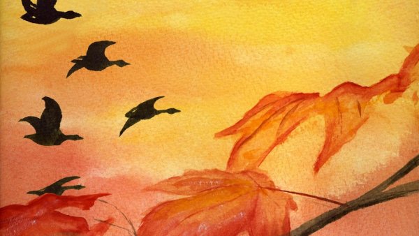 Рисование птицы улетают на Юг