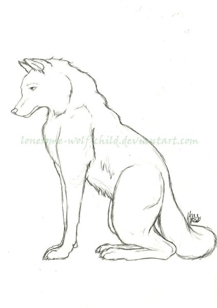 Волк сбоку рисунок