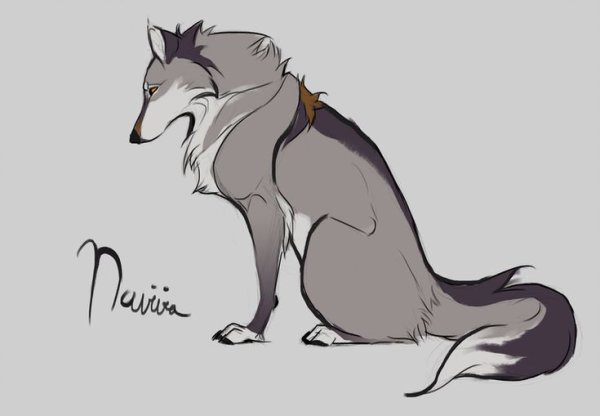 Волк сидит сбоку