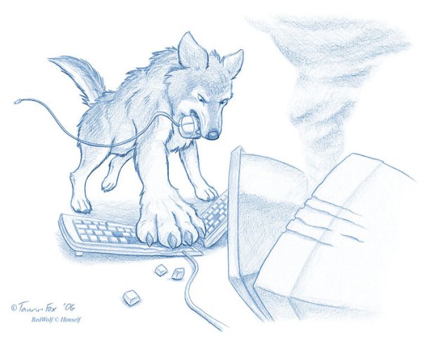 Волк за компом