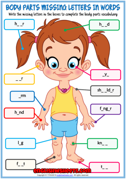 Части тела на английском для детей