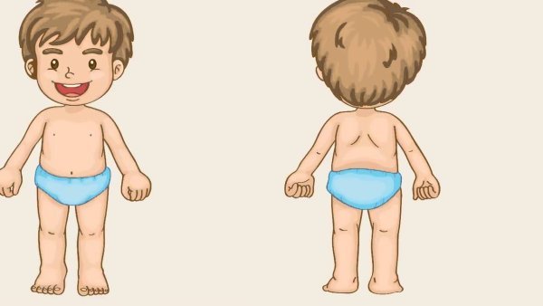 Тело человека для дошкольников