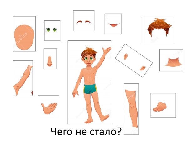 Человек части тела для дошкольников