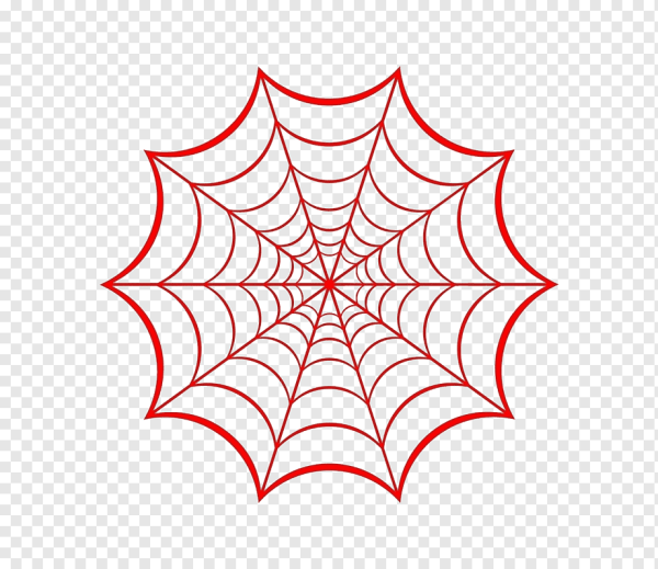 Паутина вектор