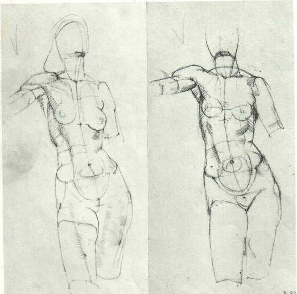 Готфрид Баммес анатомия пропорции