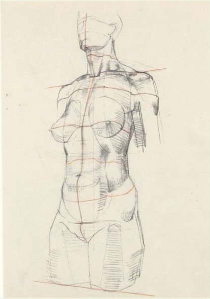 Мужской торс карандашом