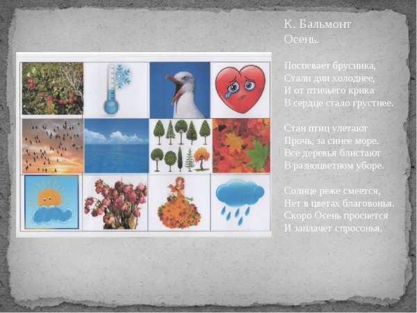 Бальмонт поспевает брусника