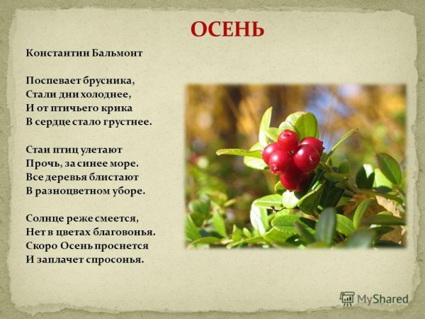 Константин Бальмонт осень поспевает брусника