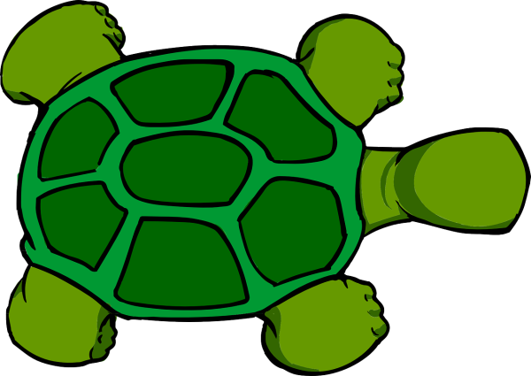 Черепаха вид сверху