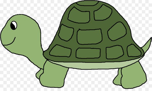 Tortoise для детей
