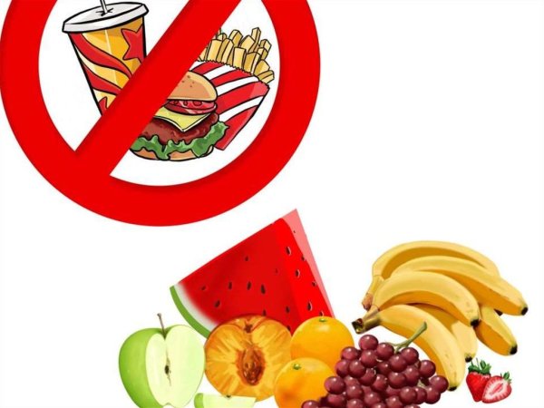 Тарелка здорового питания вектор