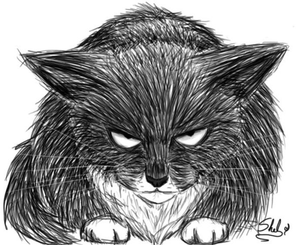 Злой кот рисунок