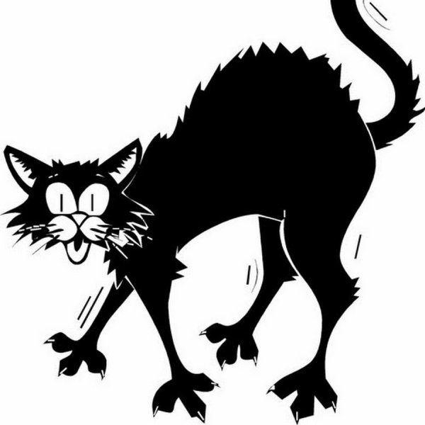Злая кошка