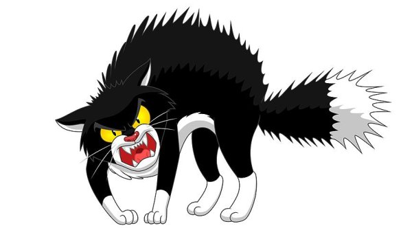 Злые мультяшные кошки