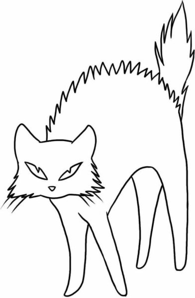 Рисунок кота для срисовки