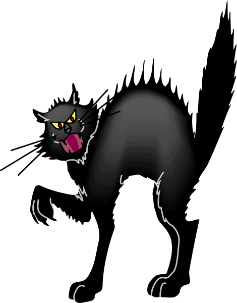 Кот шерсть дыбом