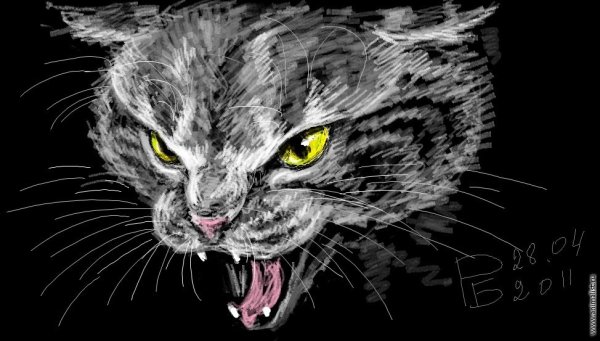 Кошка шипит арт