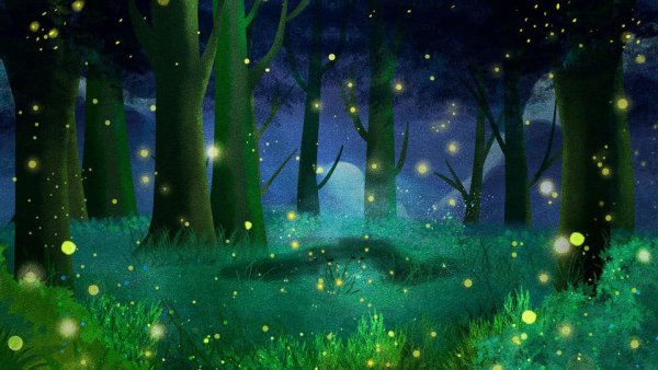 Светлячок сказочный