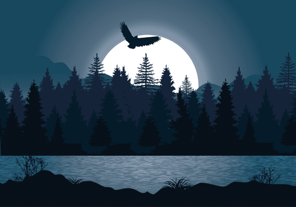 Ночной лес Графика