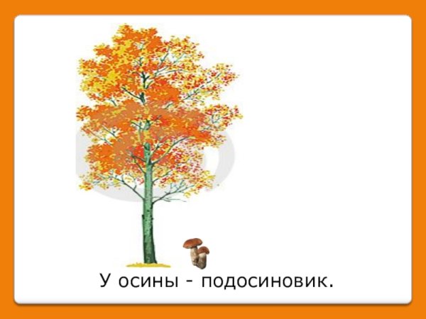 Осина осенью рисунок