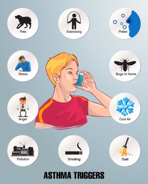 Триггеры бронхиальной астмы
