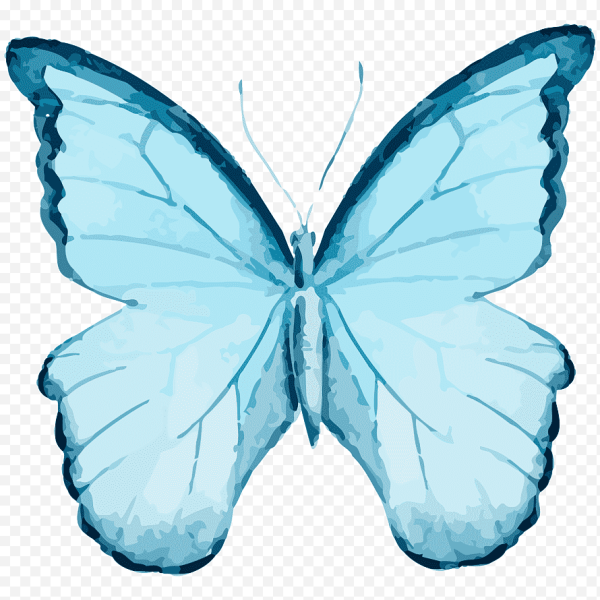 Бабочки светло голубые