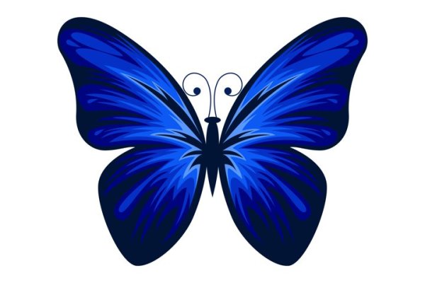 Бабочки клипарт