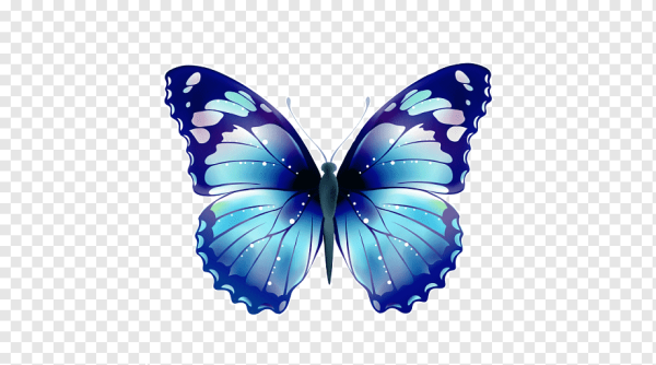 Бабочка голубая вектор