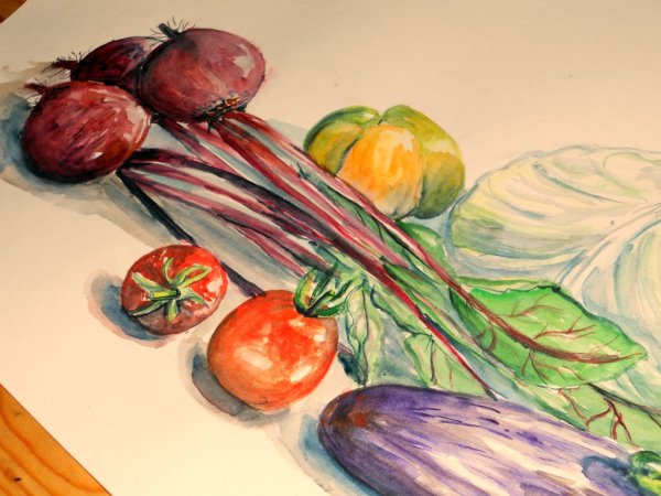 Зарисовка натюрморта из овощей и фруктов