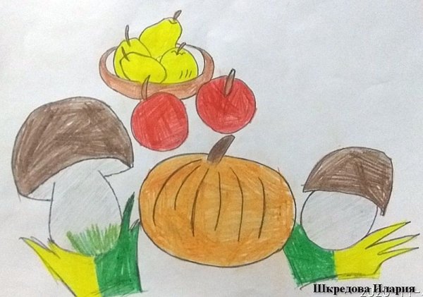 Рисование тыква старшая группа