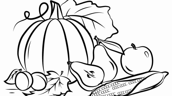 Натюрморт раскраска