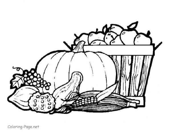 Урожай раскраска для детей