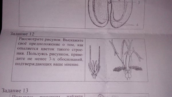 На рисунке изображен график некоторой функции y f x