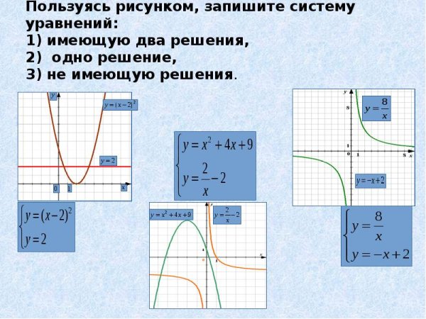 К какому классу относится растение изображенное на рисунке