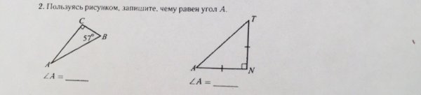 Органы и части тела рыбы