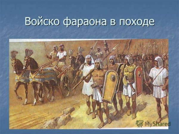 Армия фараона древнего Египта