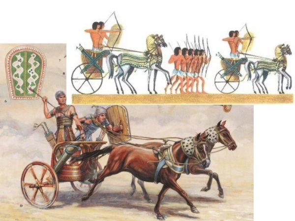 Армия фараона древнего Египта