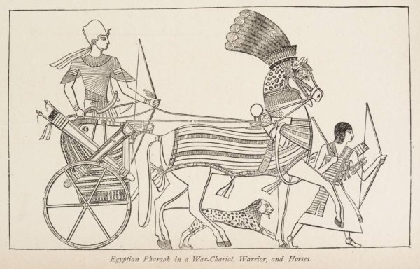 Военные походы фараонов боевые колесницы