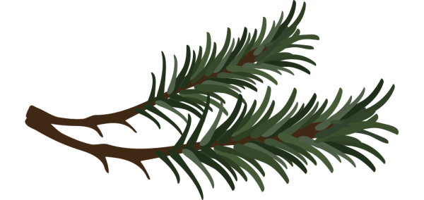 Еловая веточка