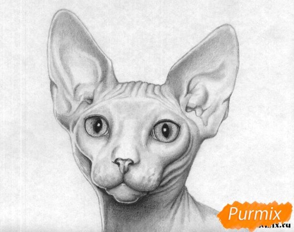 Сфинкс зарисовка