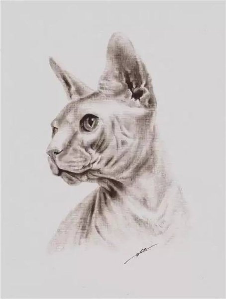 Сфинкс для срисовки