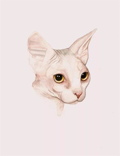 Рисунки сфинксов